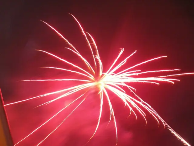 Wielka Orkiestra Świątecznej Pomocy 2012