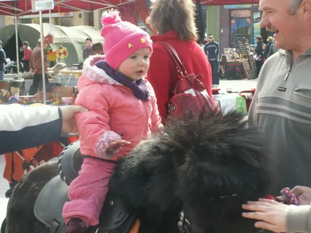 Jarmark Wielkanocny 2012