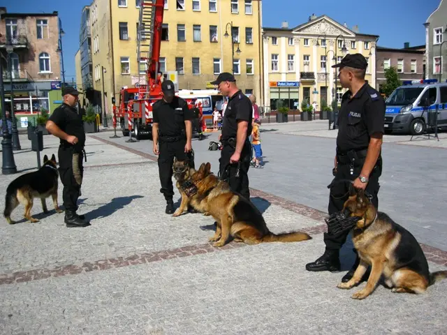 Bezpieczne wakacje na wąbrzeskim rynku