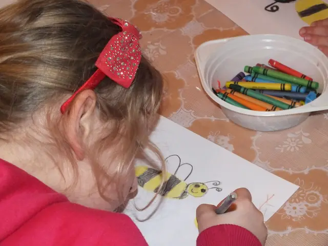 akademia pszczół