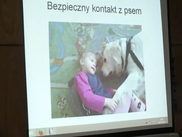 Wystawa „Mój czworonożny przyjaciel” — zdjęcie 5