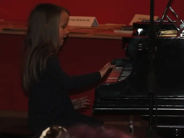 Koncert noworoczny — zdjęcie 1