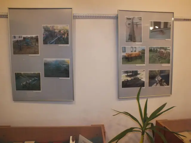 Wystawa  „Kolekcjonerskie pasje” oraz „Licealne pamiątki” — zdjęcie 9