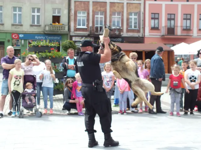 Dzień Dziecka w Wąbrzeźnie — zdjęcie 8