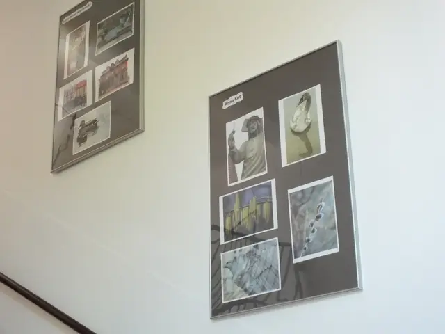 Wystawa „Wąbrzeźno na przedwiośniu” — zdjęcie 8