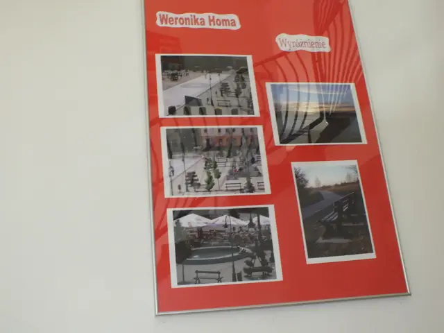 Wystawa „Wąbrzeźno-moje miasto” — zdjęcie 3