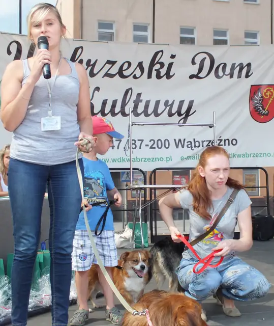 Wystawa czworonogów — zdjęcie 1