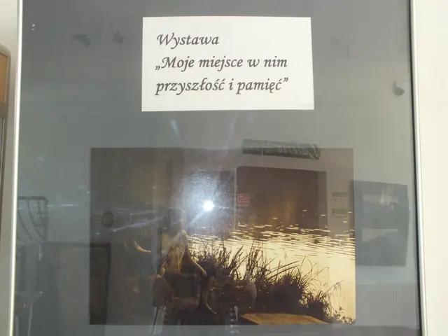 Wystawa „Moje miejsce w nim przyszłość i pamięć” — zdjęcie 1