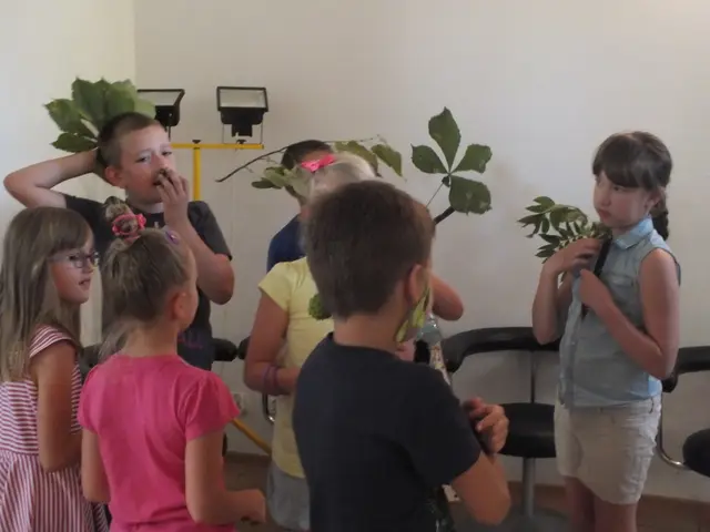 Wakacje z projektorem — zdjęcie 6