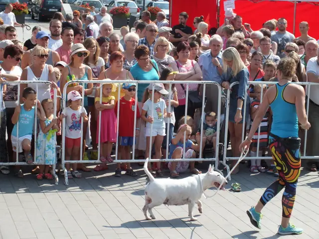 Wystawa czworonogów — zdjęcie 6