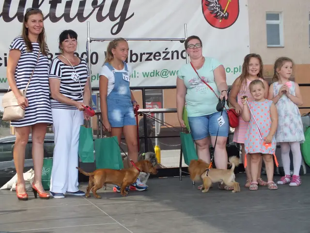Wystawa czworonogów — zdjęcie 30