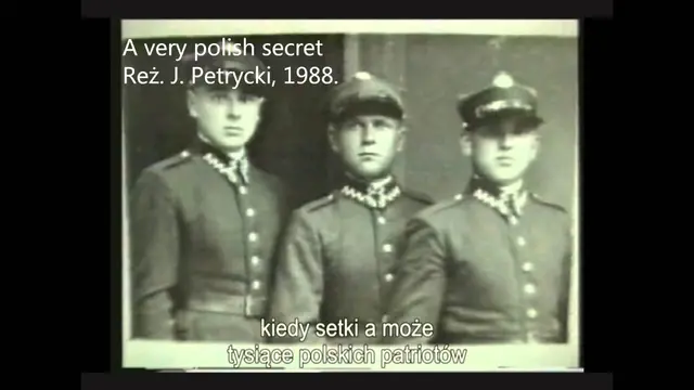 Filmy edukacyjne IPN w WDK — zdjęcie 2