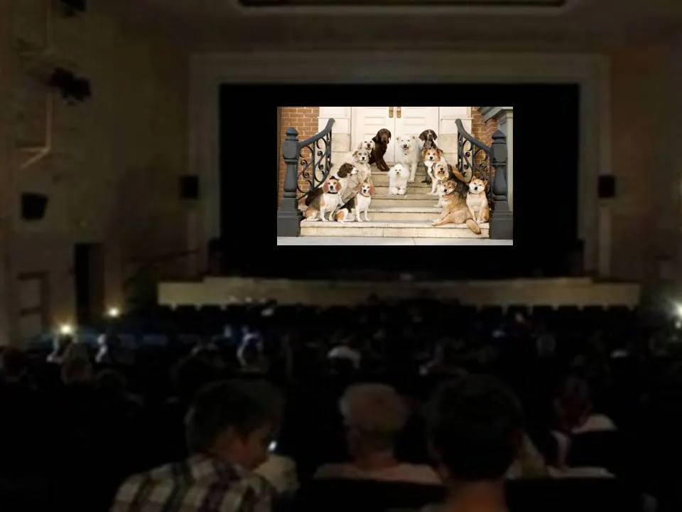 Wakacyjne Kino WDK