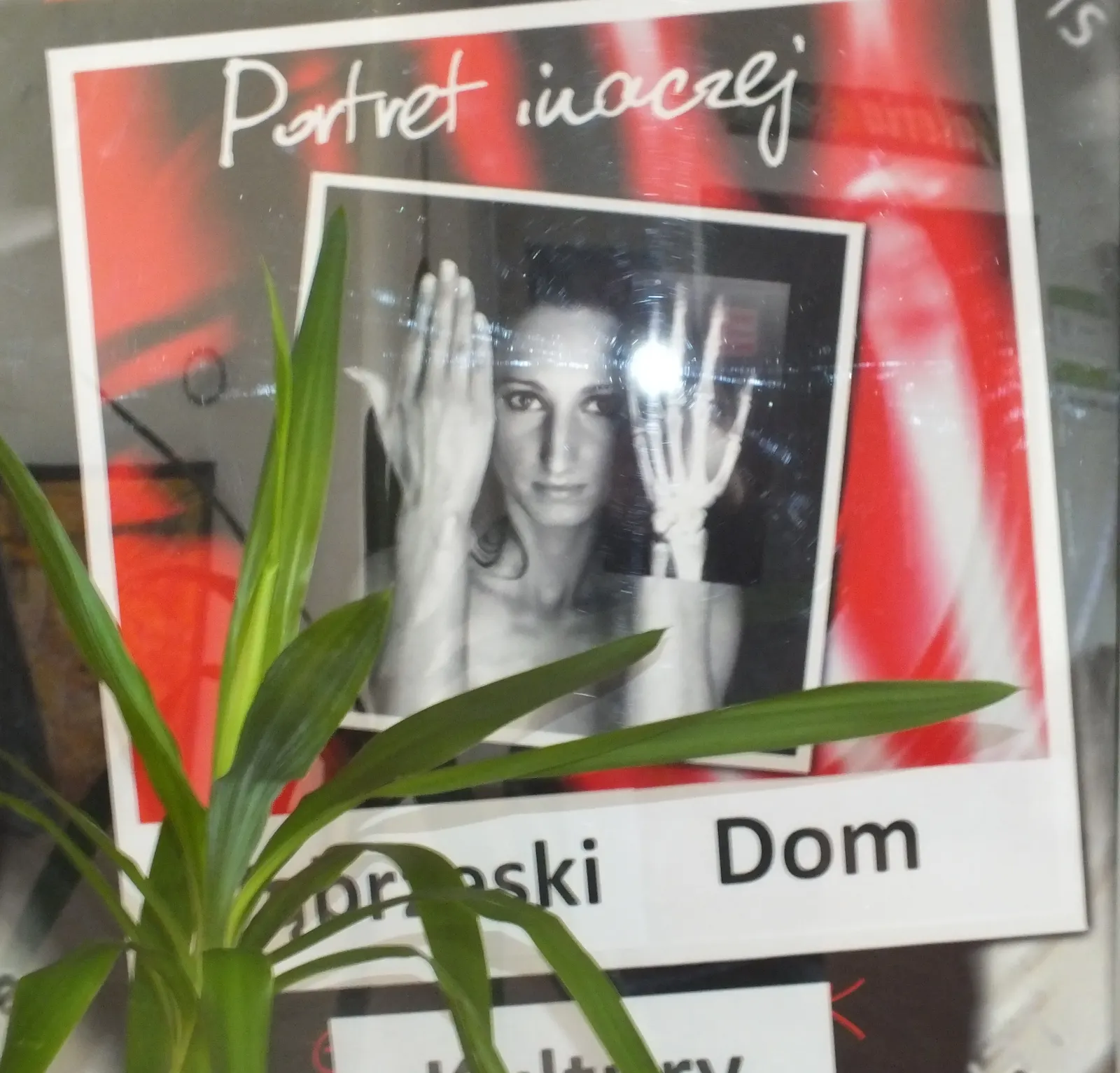 Wystawa „Portret inaczej”