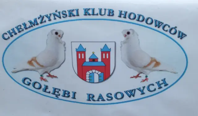 Jarmark Ekologiczny — zdjęcie 9