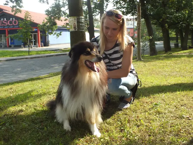 Wystawa czworonogów — zdjęcie 33