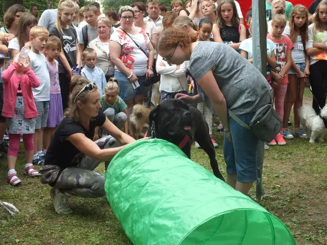 Wystawa czworonogów — zdjęcie 14