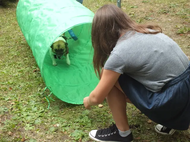 Wystawa czworonogów — zdjęcie 15