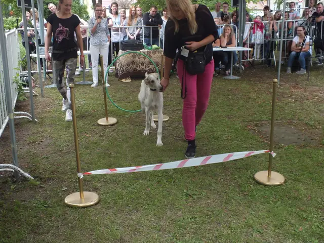 Wystawa czworonogów — zdjęcie 17