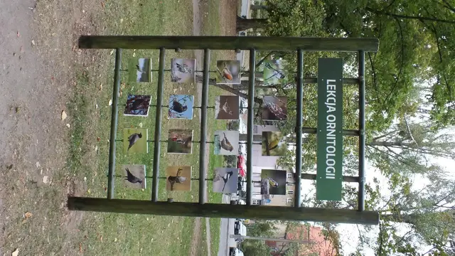 Rozbudowa ścieżki dydaktycznej — zdjęcie 2