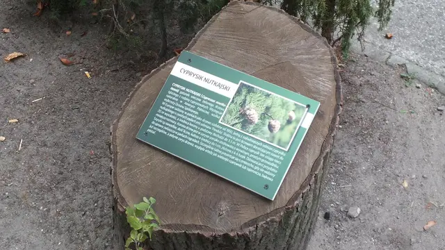 Rozbudowa ścieżki dydaktycznej — zdjęcie 4