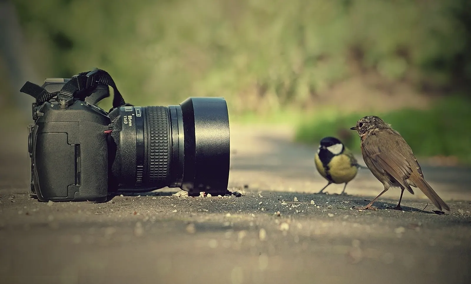 Plener fotograficzny w WDK