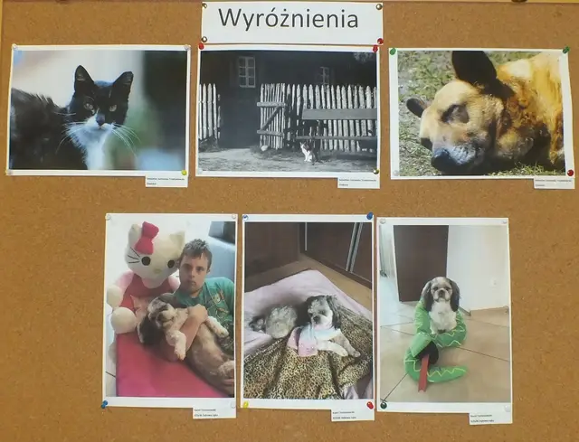 Wystawa pokonkursowa „Mój czworonożny przyjaciel” — zdjęcie 11