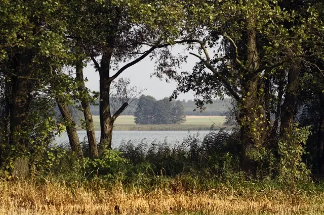 Wystawa „Dolina Osy” — zdjęcie 1