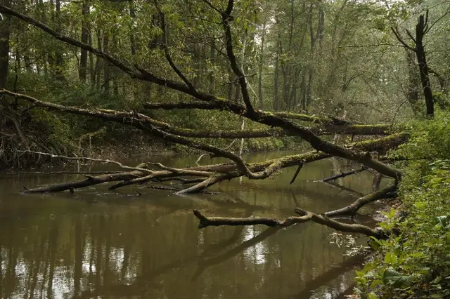 Wystawa „Dolina Osy” — zdjęcie 2