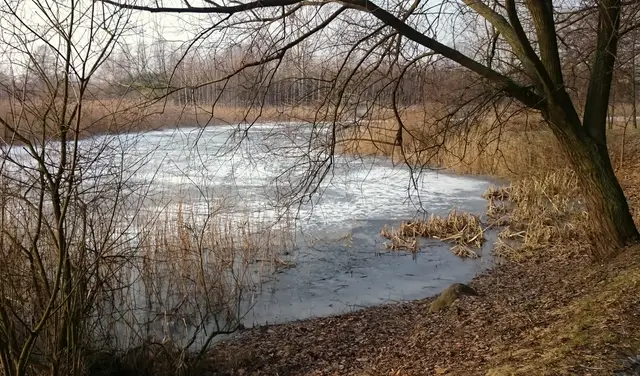 Wystawa poplenerowa — zdjęcie 2