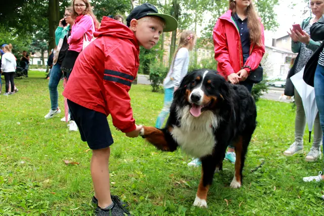 Wystawa Psów w Wąbrzeźnie — zdjęcie 8