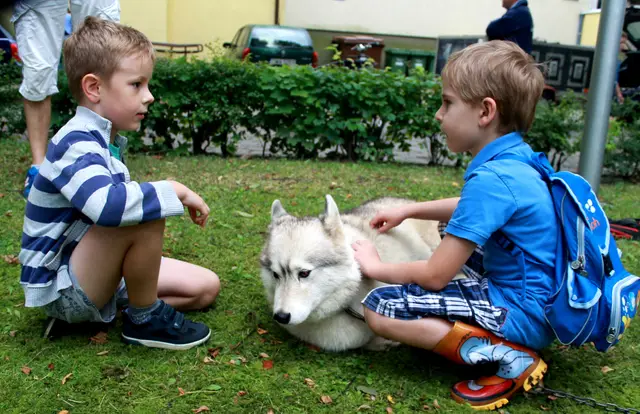 Wystawa Psów w Wąbrzeźnie — zdjęcie 46