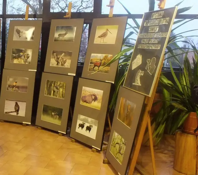 Wystawa „W pogoni za ulotną chwilą” — zdjęcie 1