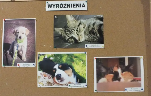 Wystawa „Czworonożny przyjaciel” — zdjęcie 6
