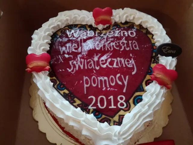 Finał WOŚP za nami — zdjęcie 15