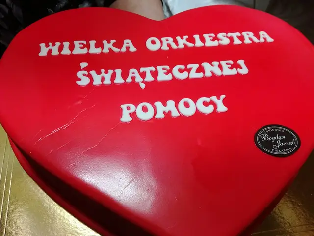Finał WOŚP za nami — zdjęcie 20