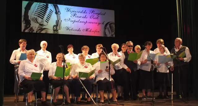 „Wąbrzeski Mikrofon’ 2018” — zdjęcie 30