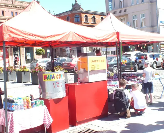 Jarmark ekologiczny w Wąbrzeźnie — zdjęcie 10