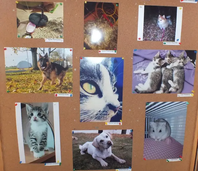 Wystawa fotograficzna otwarta… — zdjęcie 10