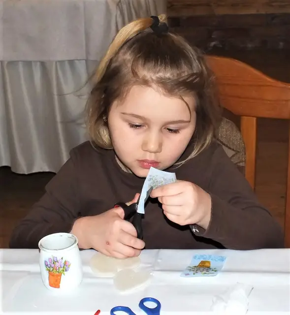 Plastyczne wyzwania w WDK — zdjęcie 4