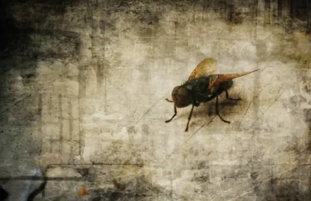 „Fotofikcje” w WDK — zdjęcie 6