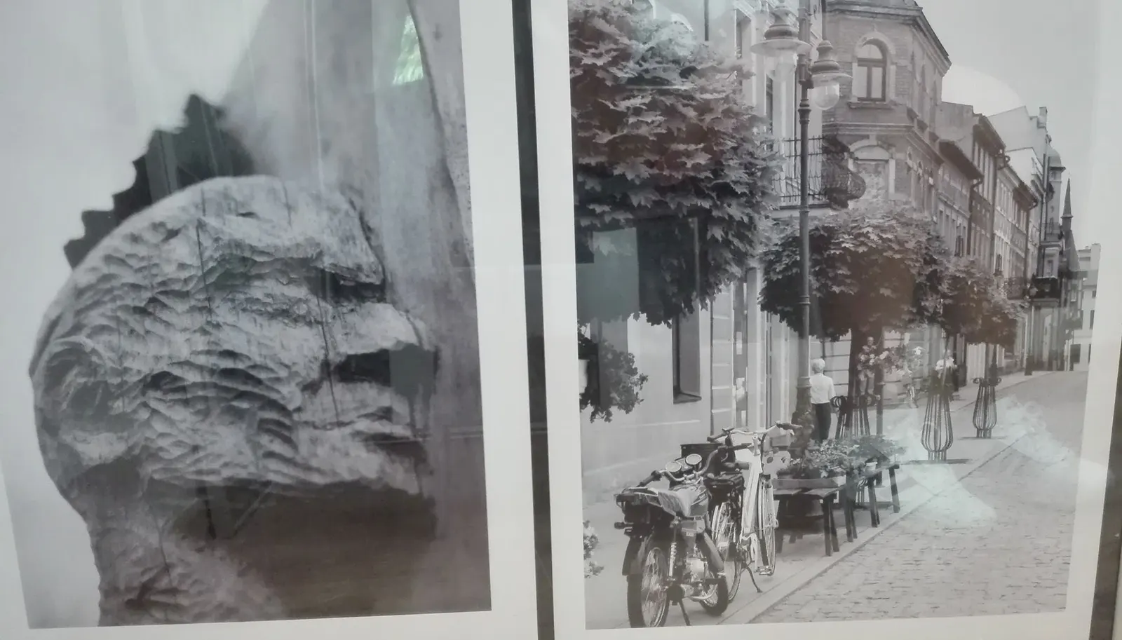 „Wąbrzeźno w czerni i bieli”