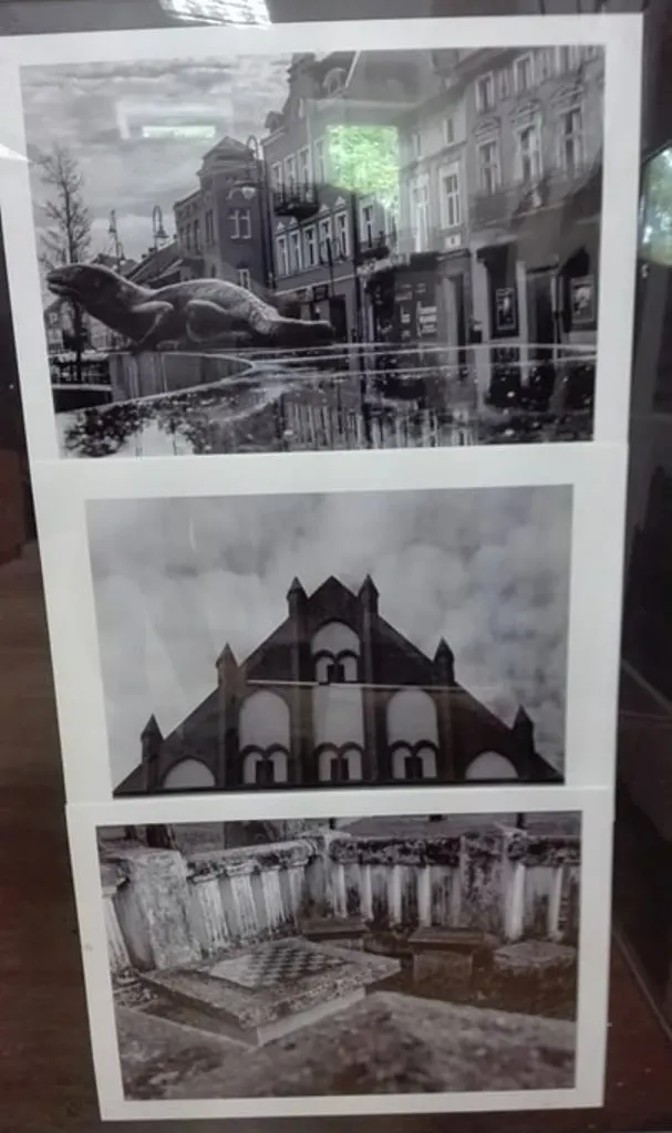 „Wąbrzeźno w czerni i bieli”