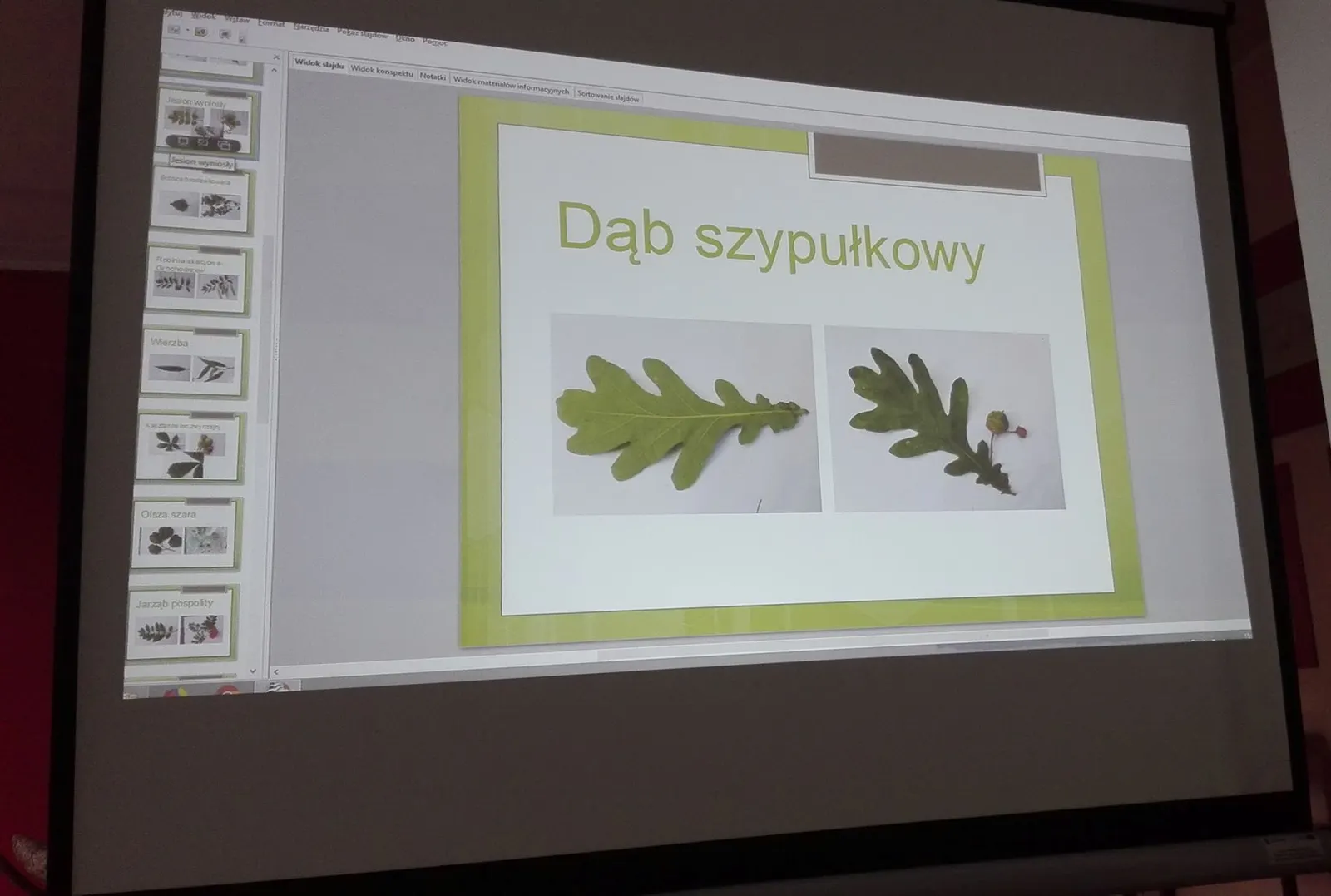 Rozmowy o przyrodzie w Klubie seniora „Echo”