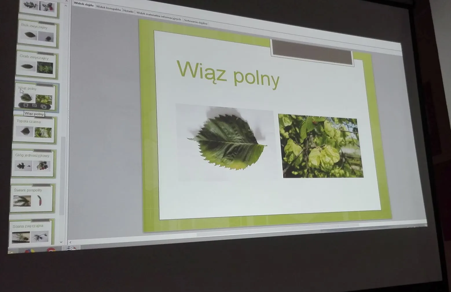 Rozmowy o przyrodzie w Klubie seniora „Echo”