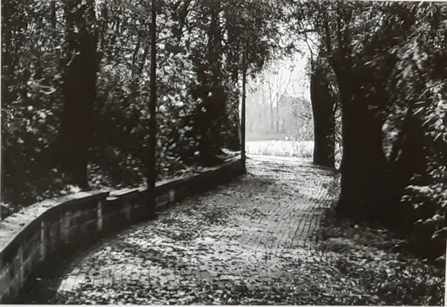 Wystawa koła fotograficznego — zdjęcie 13