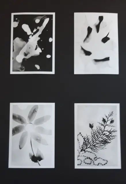 Wystawa koła fotograficznego — zdjęcie 17