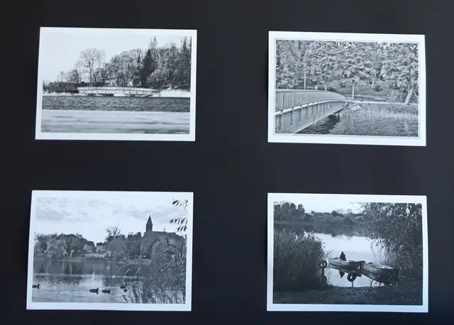 Wystawa koła fotograficznego — zdjęcie 19