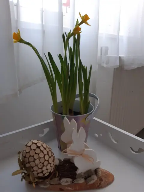 Seniorzy w czasie pandemii — zdjęcie 5