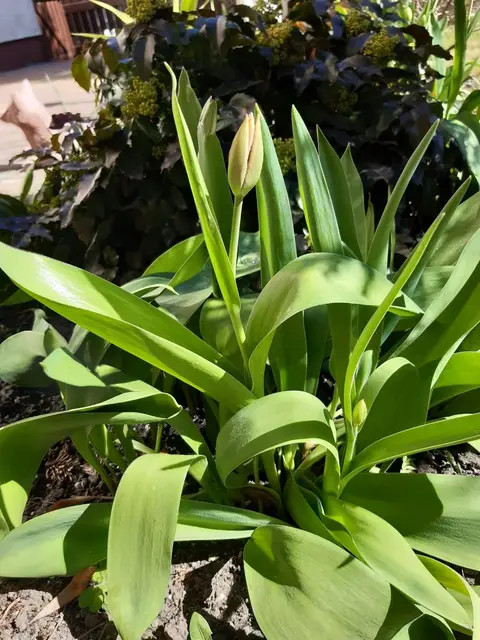 Seniorzy w czasie pandemii — zdjęcie 14